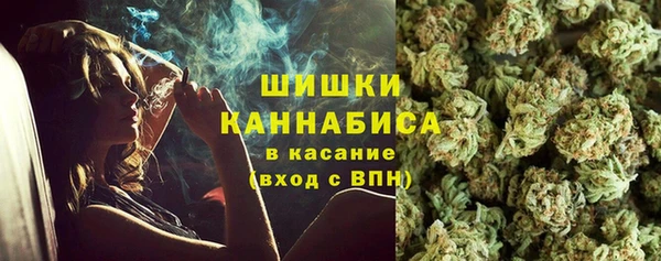 молекула духа Богородск