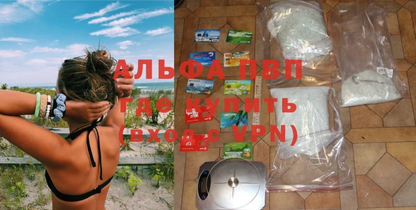 молекула духа Богородск