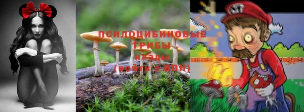 стаф Надым