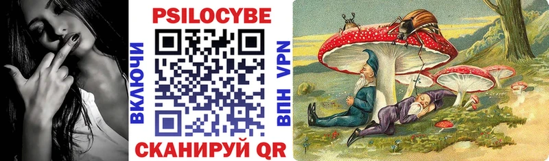 Псилоцибиновые грибы ЛСД OMG ONION Валдай